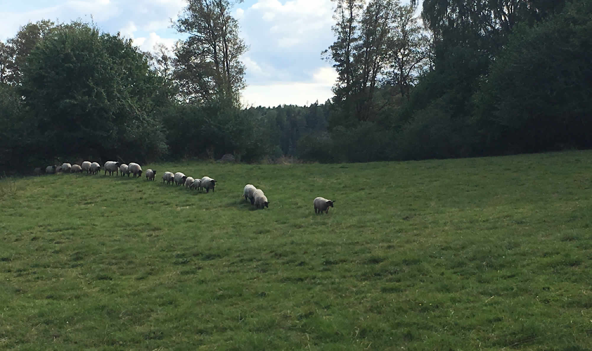 Den richtigen Weg finden